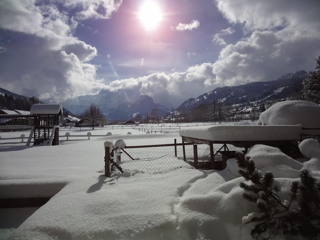 Hotel Simmenhof Lenk Eksteriør bilde